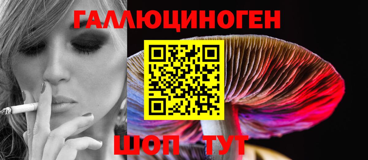 даркнет сайт  Вход с VPN  Новошахтинск  Псилоцибиновые грибы Psilocybine cubensis 